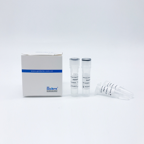 مجموعة SARS-CoV RT-PCR