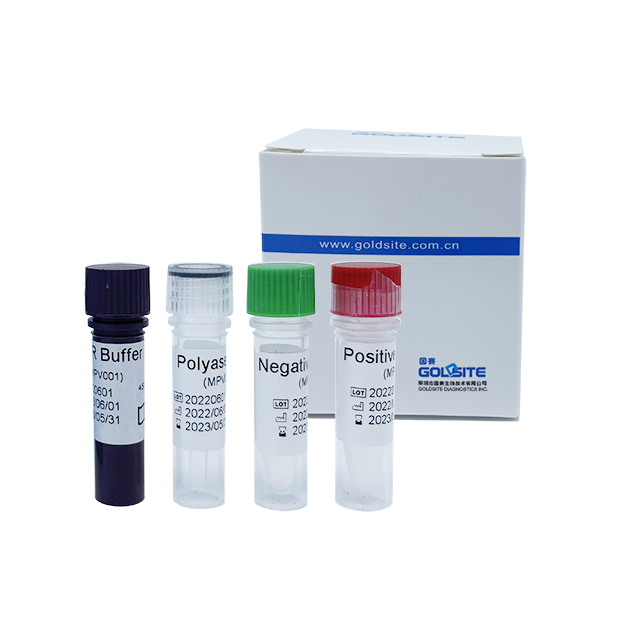 Kit de PCR du virus Monkeypox (MPXV)